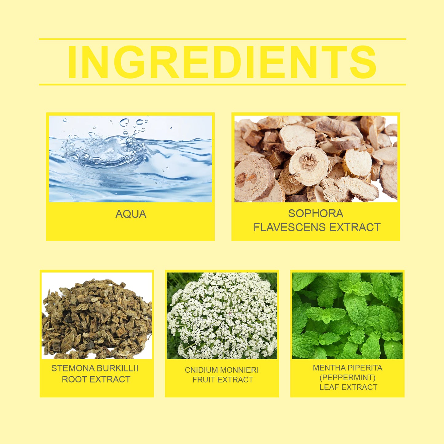 Herbal Nail Repair Solution