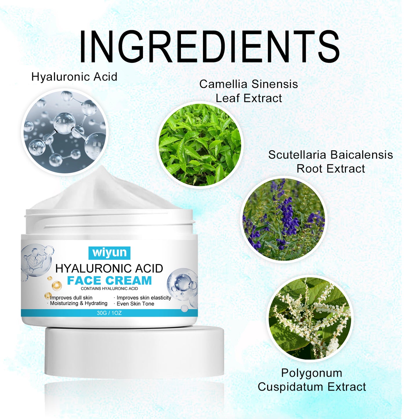 Hyaluronic Acid Anti-Wrinkle Face Cream - Barrier Repair & Deep Moisture
